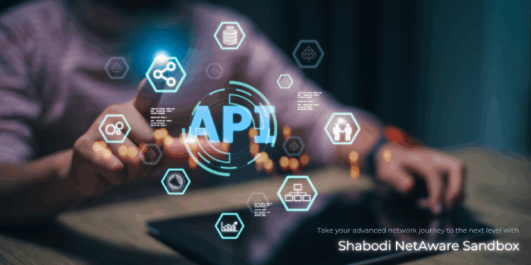 Shabodi NetAware Sandbox